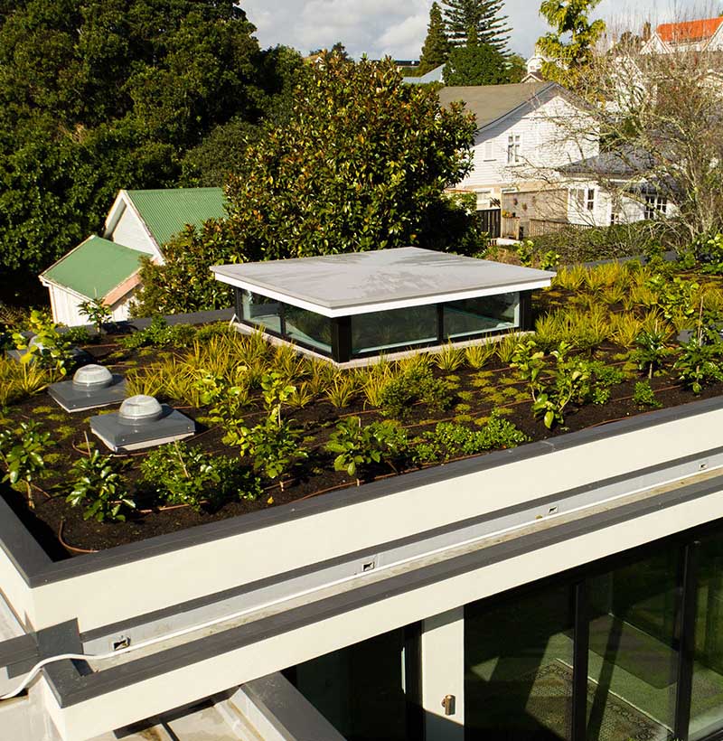 «Greentrava»: Озеленение крыш (Киев, Киевская область) – фото 3