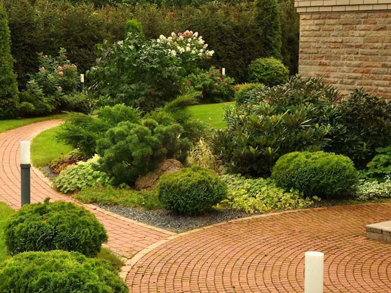 «Greentrava»: Благоустрій ділянок (Київ, Київська область) – фото 1