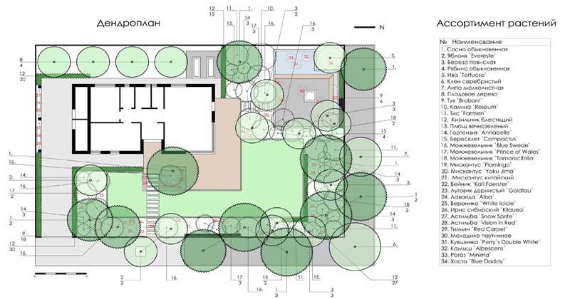 «Greentrava»: Дендроплан участка (Киев, Киевская область) – фото 3