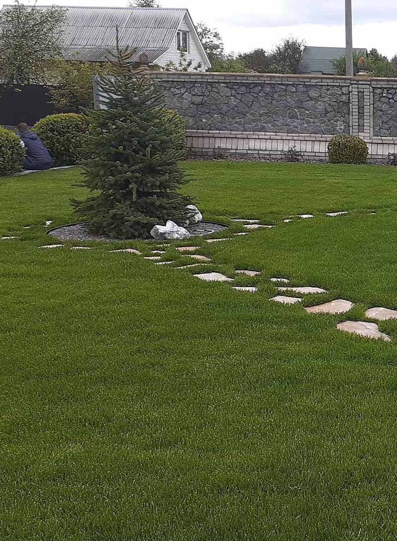 «Greentrava»: Догляд за газоном (Київ, Київська область) – фото 2