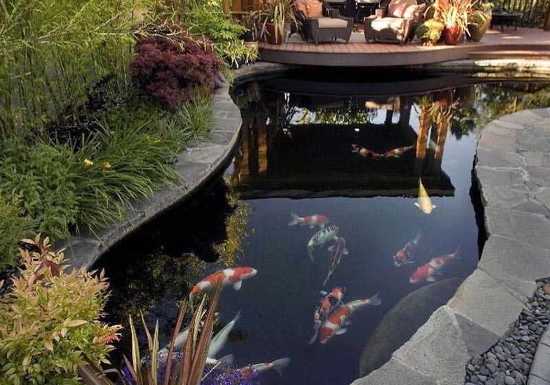 «Greentrava»: Создание искусственных водойомов (Киев, Киевская область) – фото 1