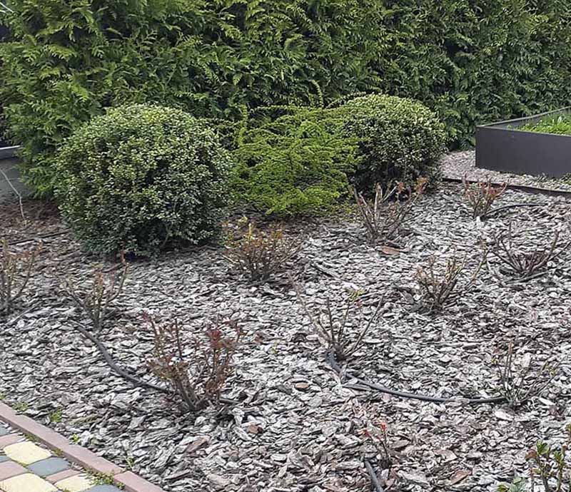 «Greentrava»: Комплексний догляд за територією (Київ, Київська область) – фото 1