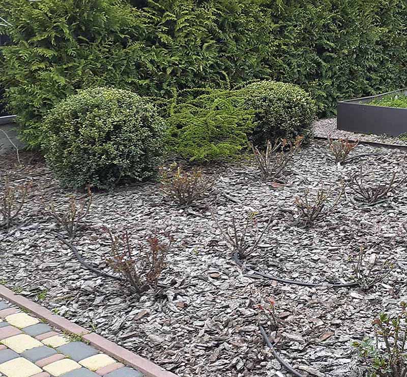 «Greentrava»: Комплексный уход за территорией (Киев, Киевская область) – фото 1