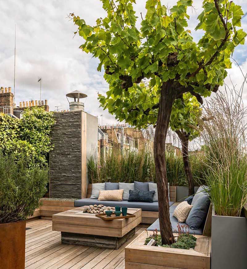 «Greentrava»: Контейнерне озеленення (Київ, Київська область) – фото 1