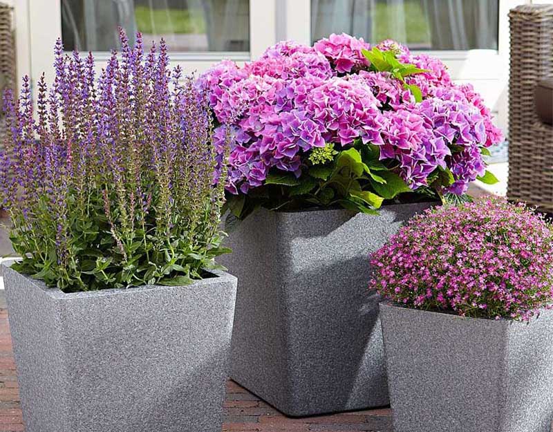 «Greentrava»: Контейнерне озеленення (Київ, Київська область) – фото 2