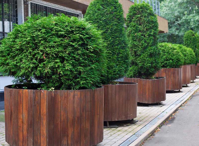 «Greentrava»: Контейнерное озеленение (Киев, Киевская область) – фото 3