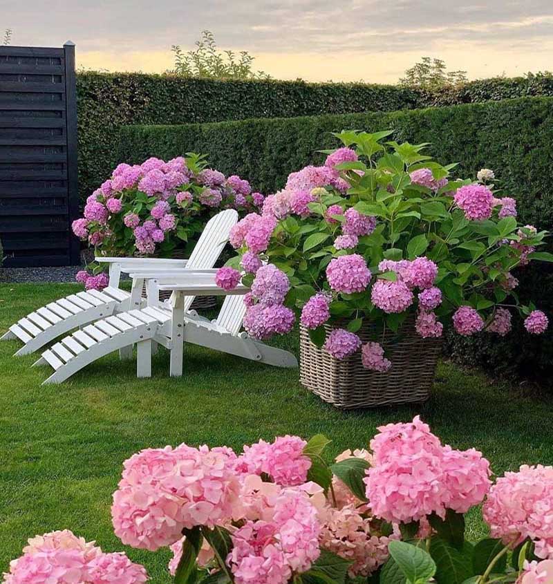 «Greentrava»: Ландшафтный дизайнер (Киев, Киевская область) – фото 3