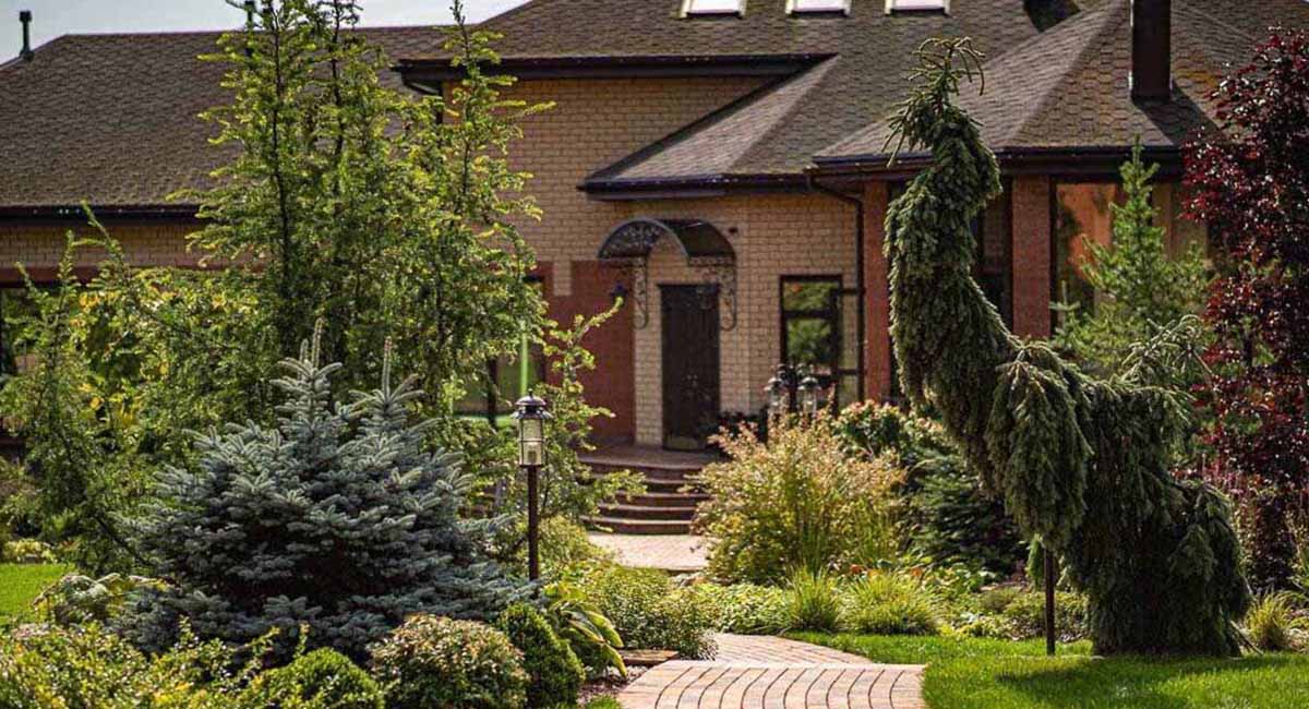 Ландшафтная компания в Киеве «Greentrava» – фото 2