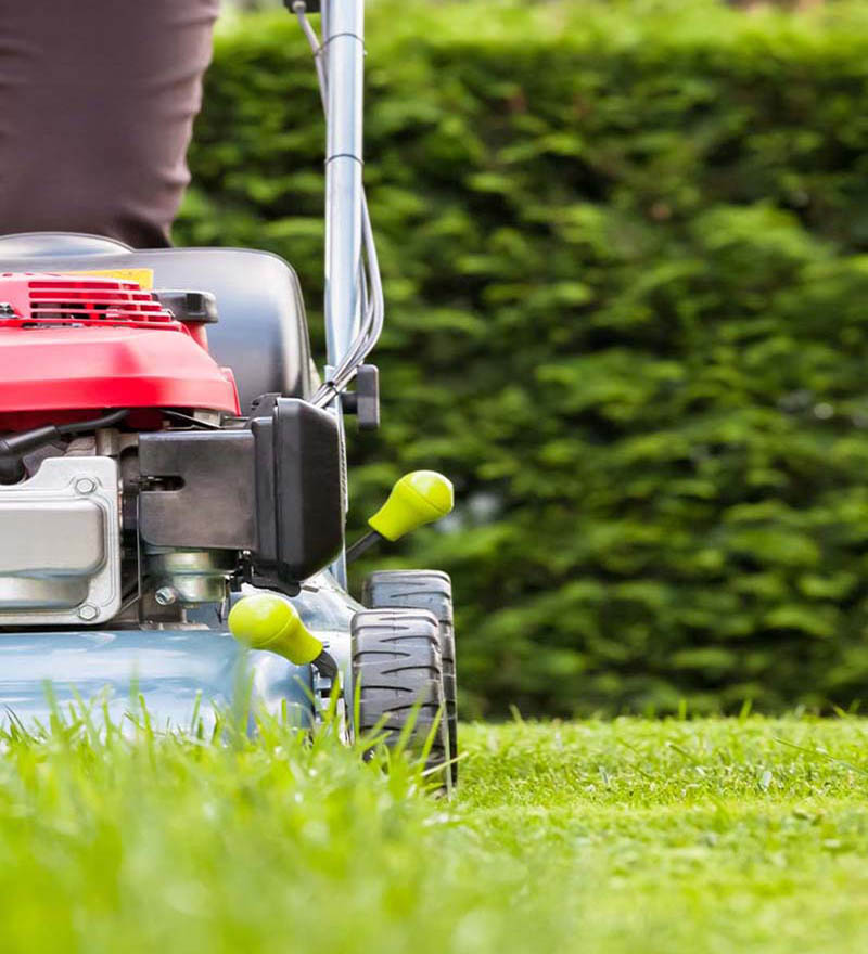 «Greentrava»: Обслуговування ділянки (Київ, Київська область) – фото 1