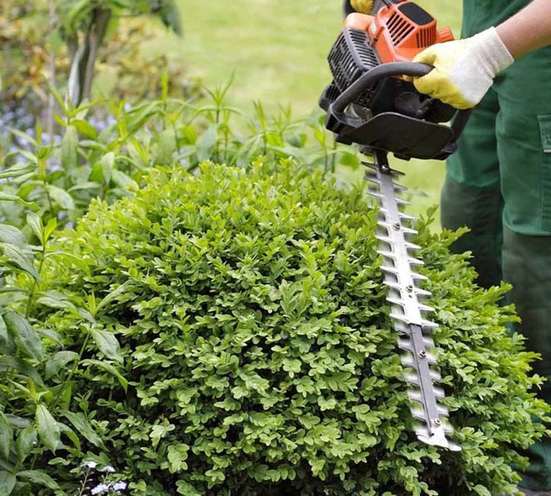 «Greentrava»: Обслуговування ділянки (Київ, Київська область) – фото 2