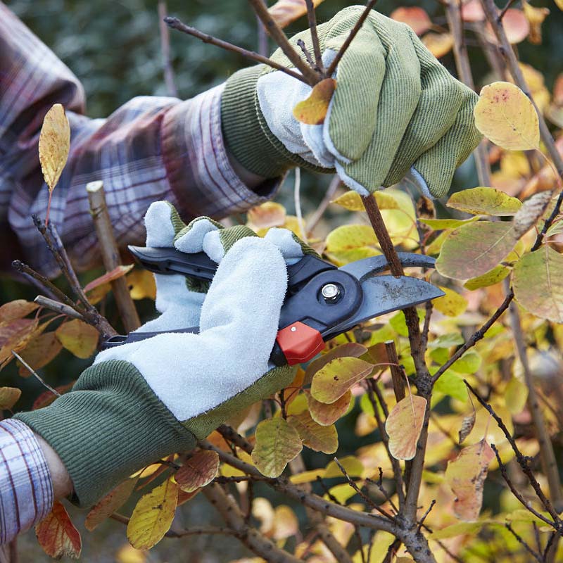 «Greentrava»: Обслуговування ділянки (Київ, Київська область) – фото 3