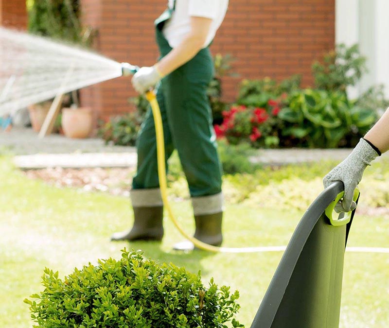 «Greentrava»: Обслуживание участков