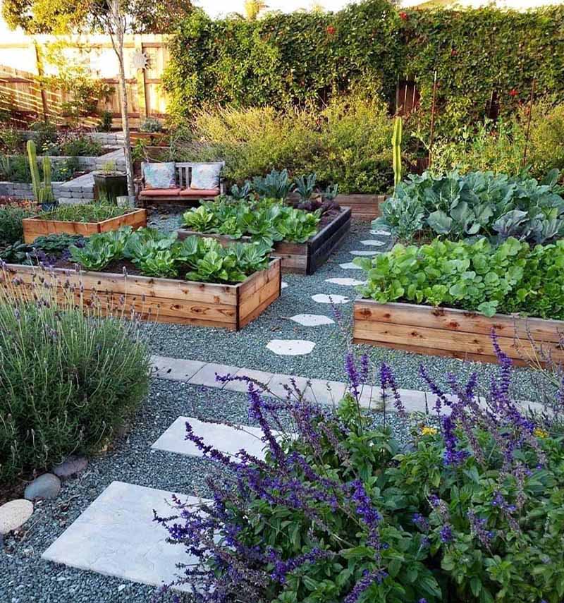 «Greentrava»: Обустройство декоративного огорода (Киев, Киевская область) – фото 1