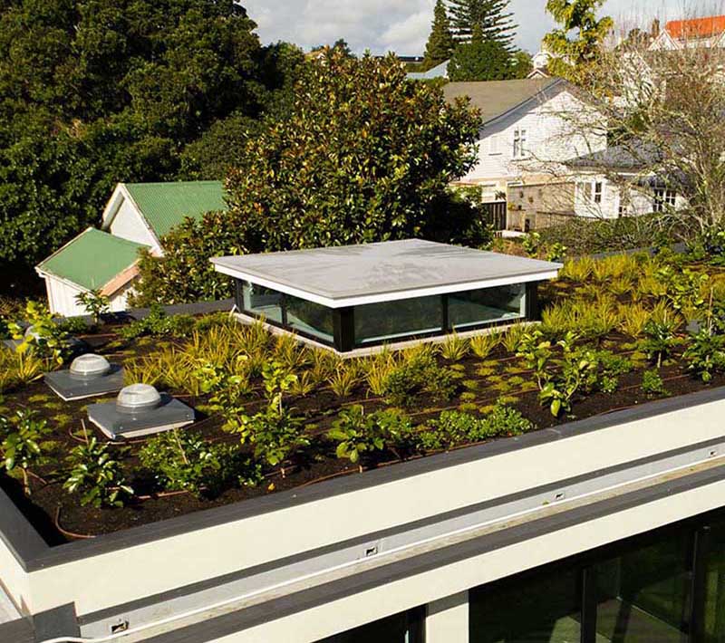 «Greentrava»: Озеленення дахів (Київ, Київська область) – фото 3