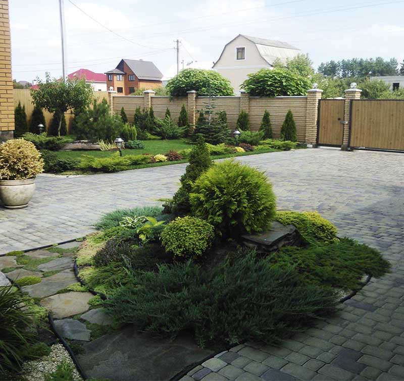 «Greentrava»: Посадка растений (Киев, Киевская область) – фото 3