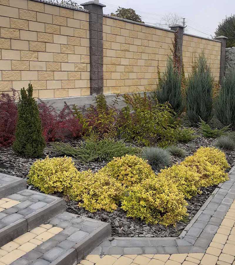 «Greentrava»: Посадка рослин (Київ, Київська область) – фото 1