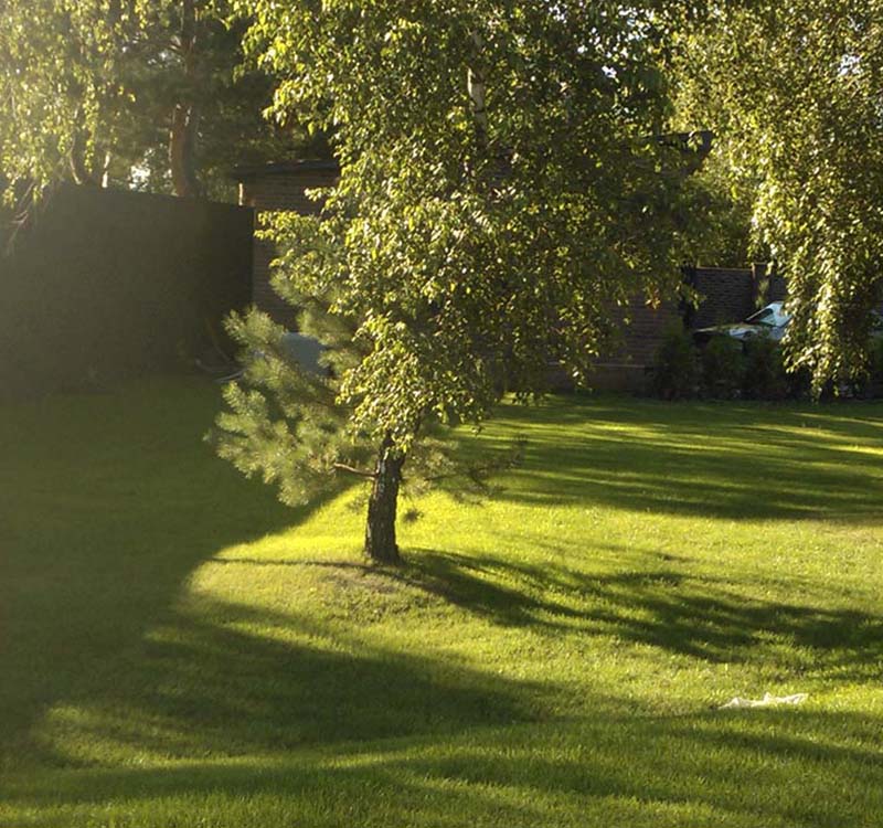 «Greentrava»: Посів газонних трав (Київ, Київська область) – фото 1