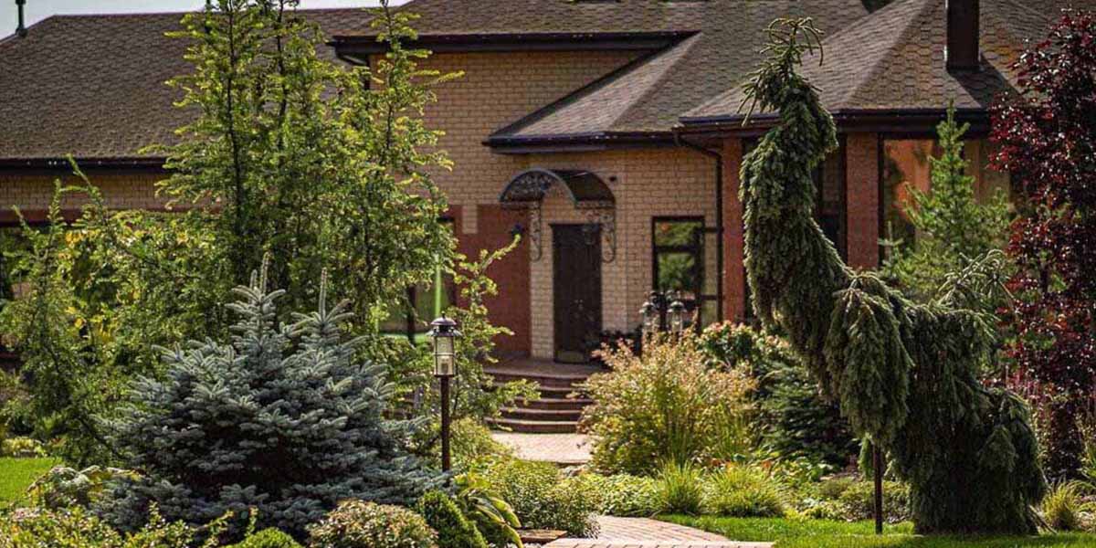 Ландшафтна компанія в Києві: «Greentrava» – фото 2