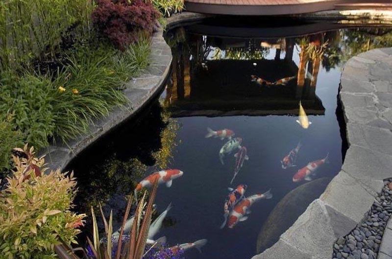 «Greentrava»: Штучні водойми (Київ, Київська область) – фото 1