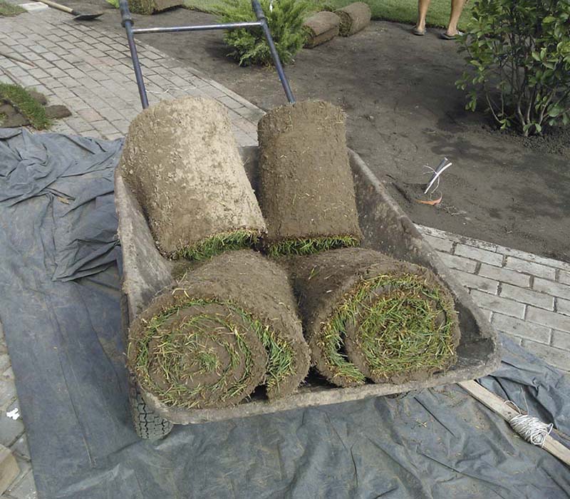 «Greentrava»: Укладання рулонного газону (Київ, Київська область) – фото 2