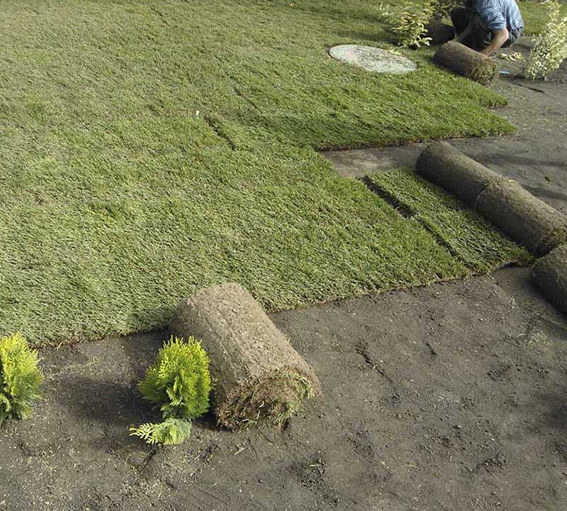 «Greentrava»: Укладання рулонного газону (Київ, Київська область) – фото 3