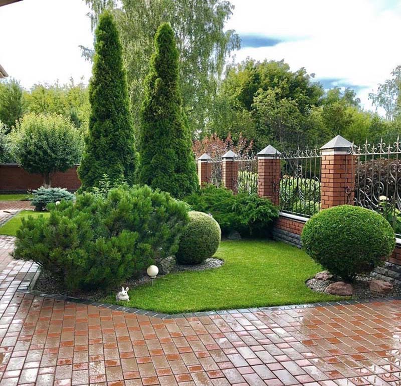 «Greentrava»: Выезд специалиста и консультация (Киев, Киевская область) – фото 2