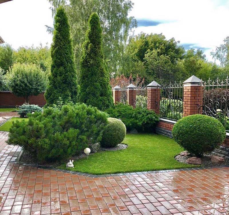 «Greentrava»: Виїзд фахівця та консультація (Київ, Київська область) — фото 2