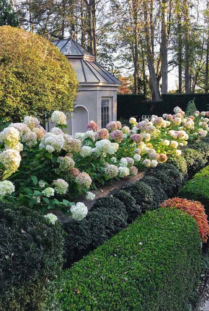 «Greentrava»: Жива огорожа (Київ, Київська область) – фото 2